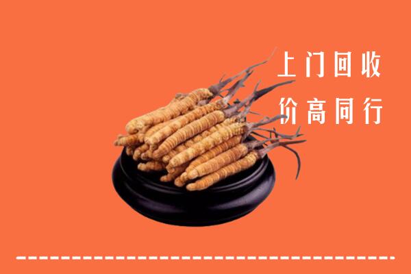 高价求购：宁陵县回收散虫草