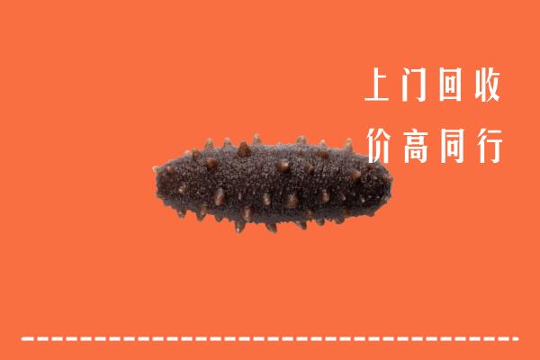 高价求购：宁陵县回收海参
