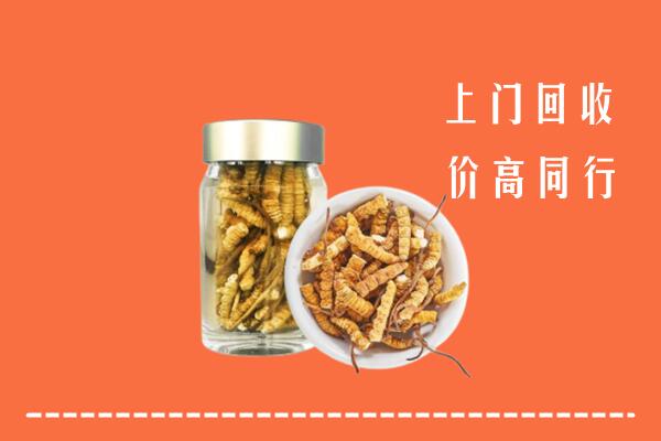 宁陵县回收冬虫夏草